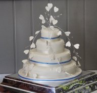 271325_10150251074885872_1199600_o